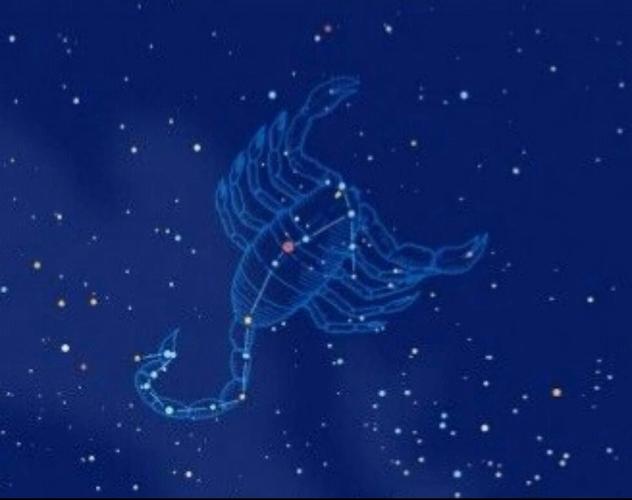 太阳星座天蝎上升星座双子