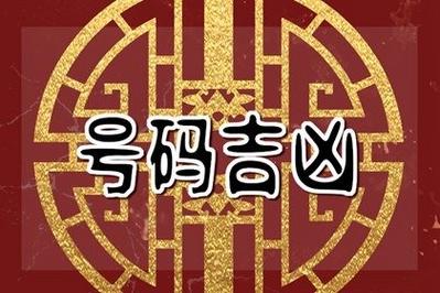 属龙用什么数字手机号好
