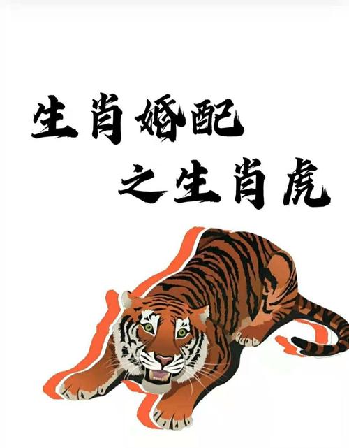 96年鼠和98虎八字合不合