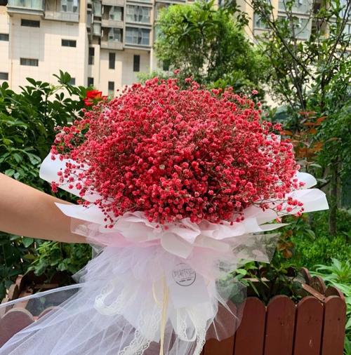 粉色满天星花语,代表初恋可用于告白