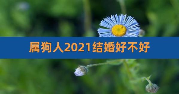 属狗人2021年2月份感情婚姻好不好