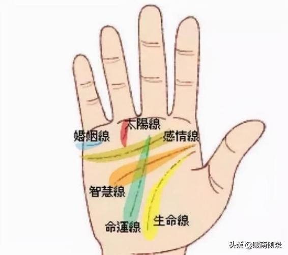 双手断掌纹的男人命运如何?