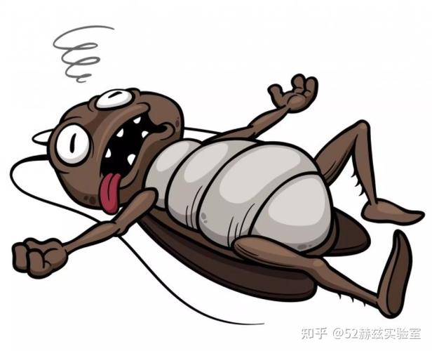 解梦:梦见打蟑螂是什么含义,梦见打蟑螂好不好?