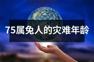 属兔2020年会遇到什么灾难