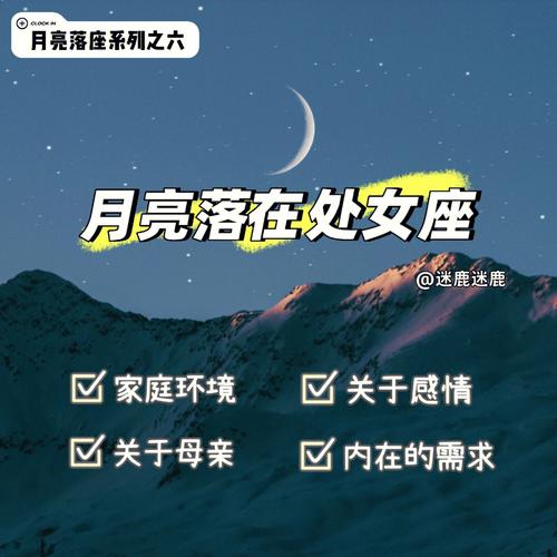 星盘第十一宫落在处女座