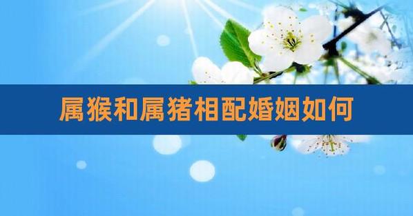 属猪男和属猴女相配吗,婚姻状况如何?