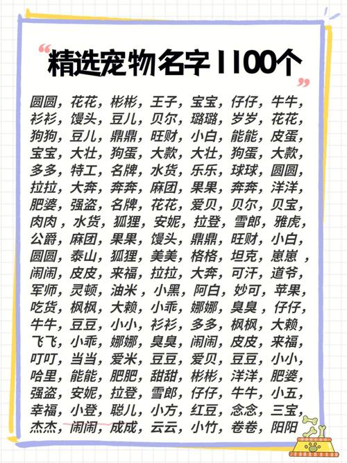 宠物起个名字原来名字还可以这样起