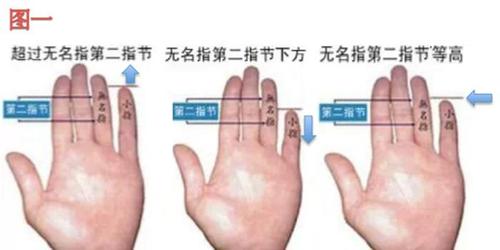 手指长短解析你的爱情运势