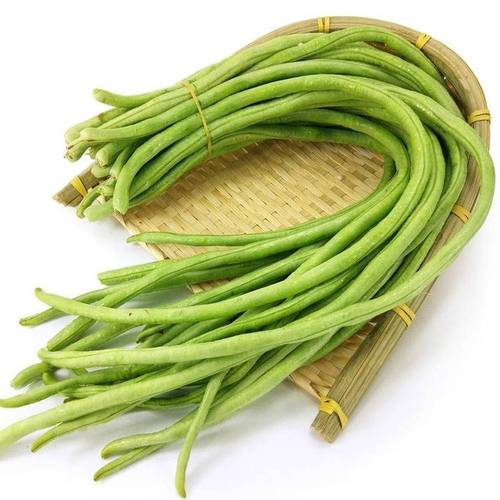 梦见绿豆角