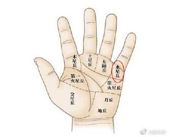 水星丘纹路图解