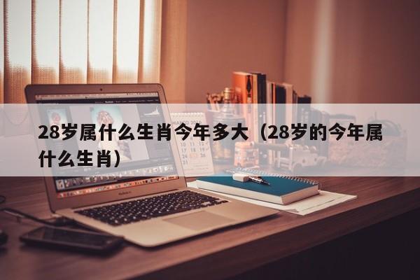 今年28岁是属什么的