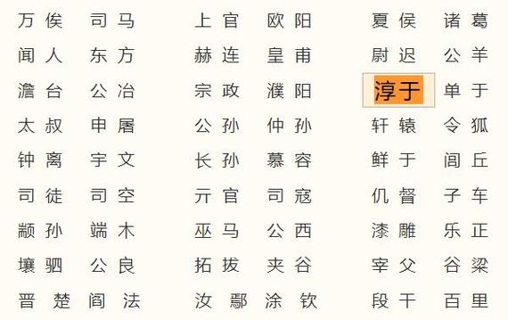 淳于姓氏的起源