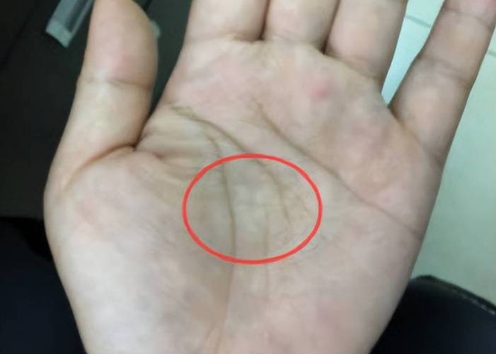手掌断掌的人会怎么样,有什么不好的地方吗?