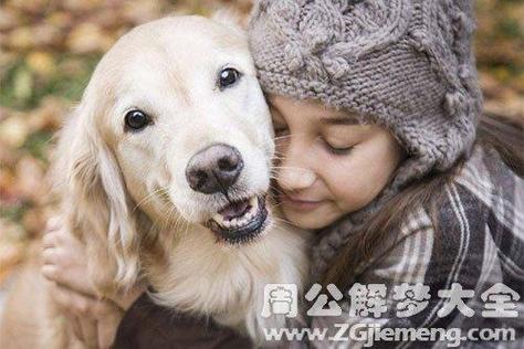 梦见很乖的大狗