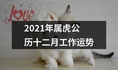 2021年属虎的12月运势怎么样
