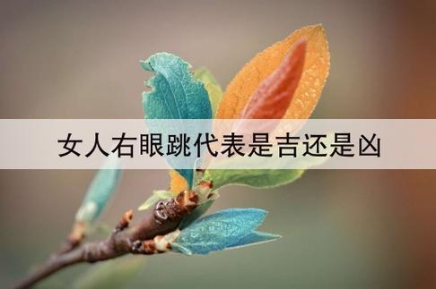 星期四右眼跳女人桃花