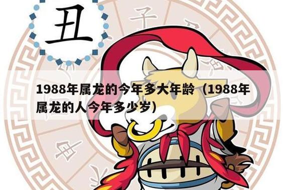 属龙女生最合适的生育年龄
