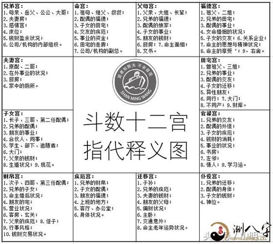 紫微斗数天机化忌