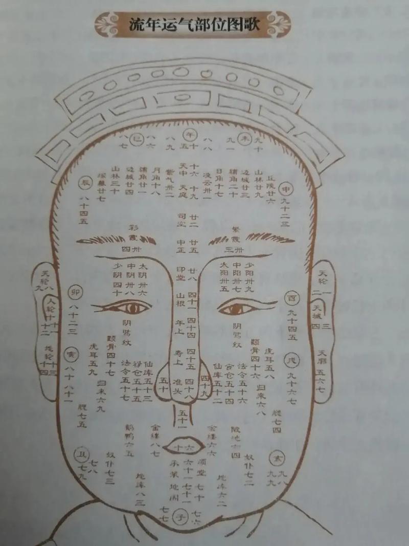 什么面相的人运气最好