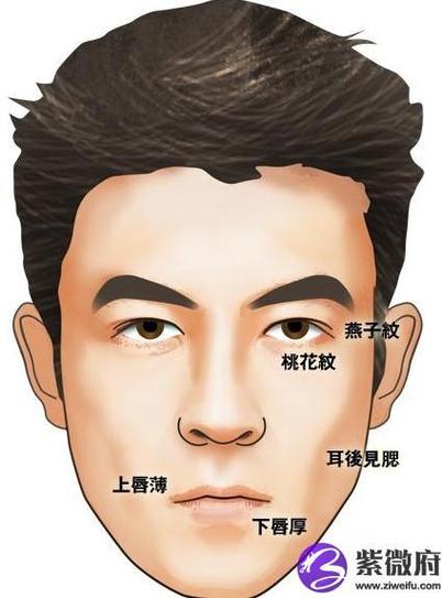 鼻孔朝天的男人面相图解