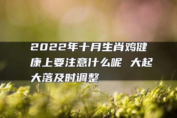 2022年属鸡大忌,2022年属鸡要注意什么?