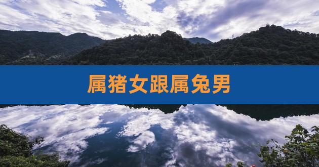 属兔人和属猪人的配对解析