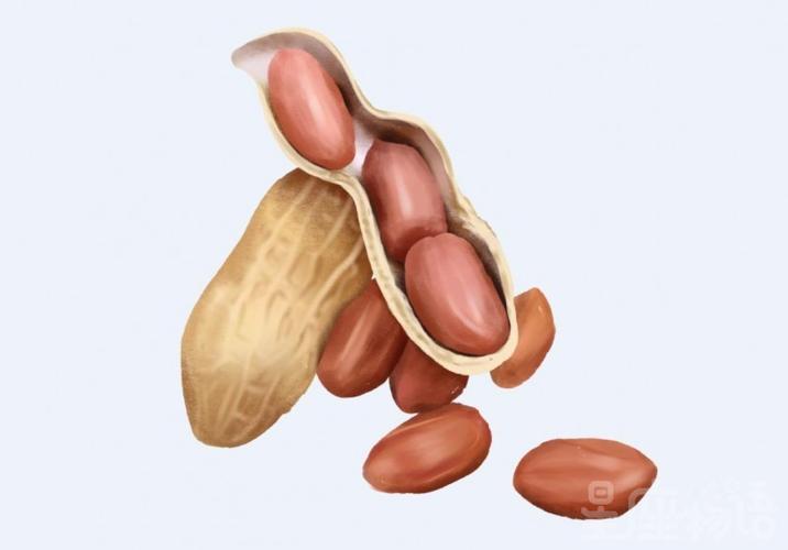 梦见花生米是什么意思