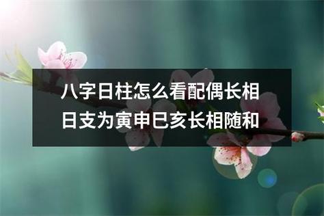 配偶极富的女命日柱
