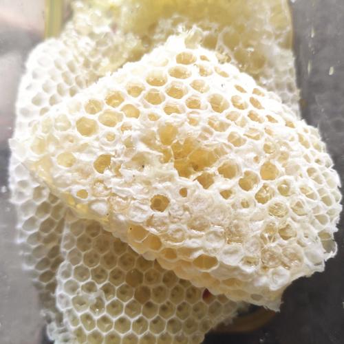 梦见蜂巢很多蜂蜜