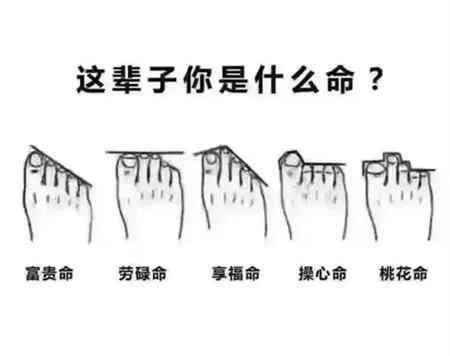 你是什么命,答案都藏在手指里!