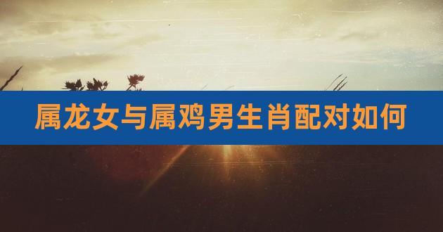 属龙女和属鸡男的相配吗?感情相合吗?