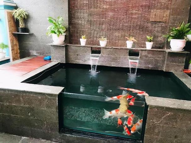 庭院鱼池禁忌 庭院鱼池禁忌西南方有破解的方法吗