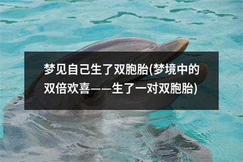 梦见我生了一对双胞胎,梦见自己生双胞胎