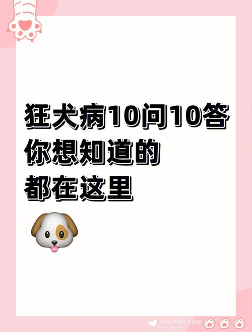 梦见自己受狂犬病折磨