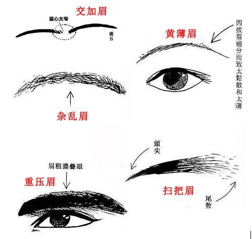 黄薄眉图片解析你的命运