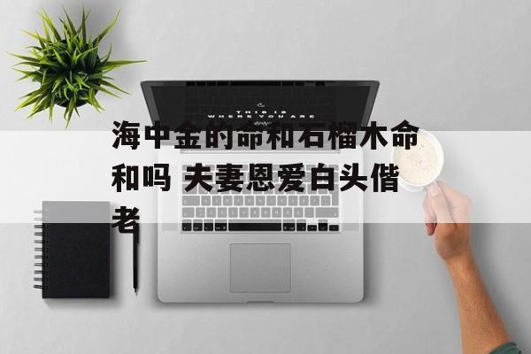 男海中金和女石榴木相配吗