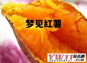 梦见红薯、地瓜 周公解梦之梦到红薯、地瓜