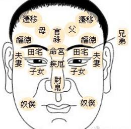 面相12宫看富贵吉凶