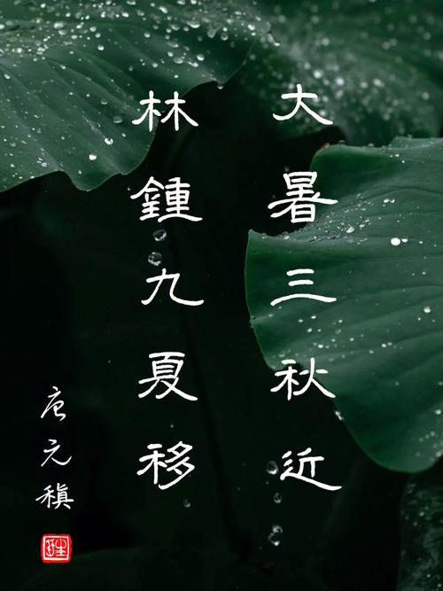 大暑出生的孩子几点好,大暑节气诗词