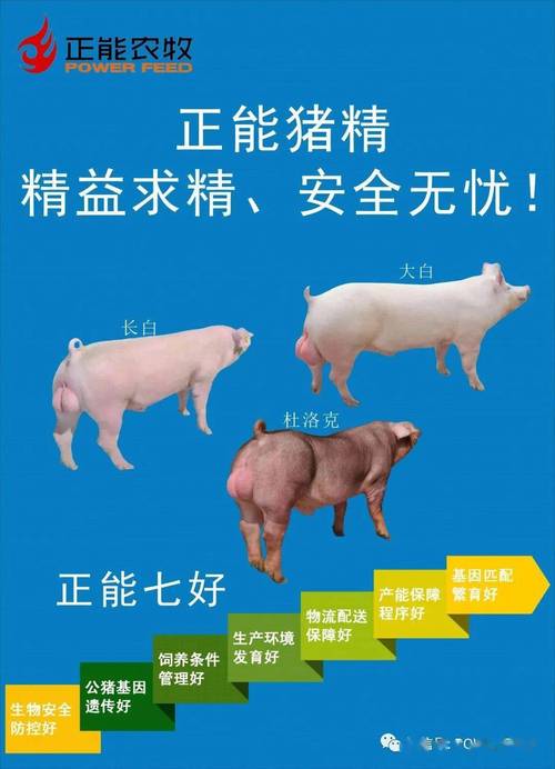 十猪九富和十猪九苦是什么意思