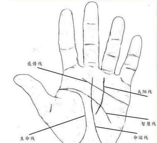 生命线是哪一条