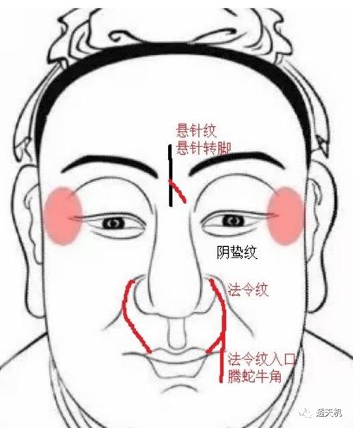 法令纹怎么看阴德