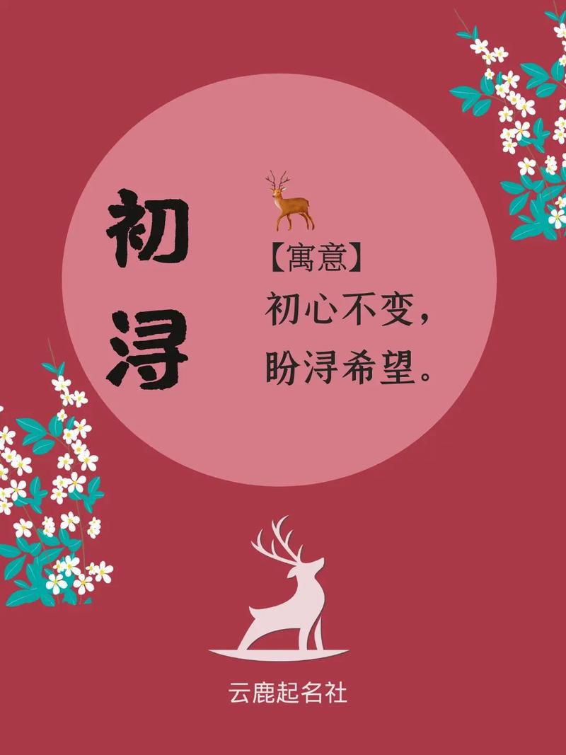 公司起名 高端大气的商标名称大全