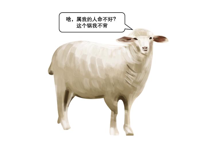 两只羊哭断肠是真的吗,属羊的最佳婚配