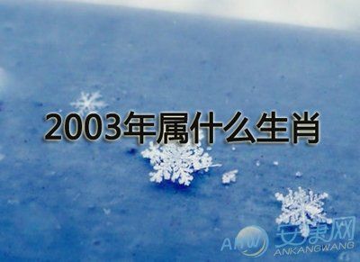 03年属什么生肖年
