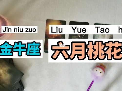 金牛座2021脱单运最好的月份