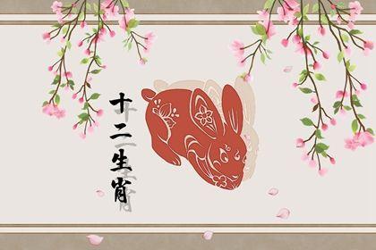 10岁生肖兔2021年下半年运气好不好