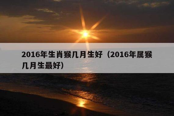 2016猴几点出生最好命