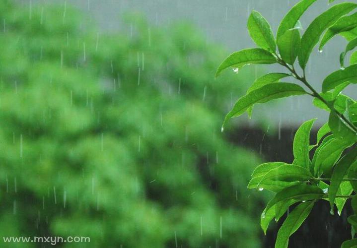 梦见下小雨周公解梦，梦见下小雨是什么意思？