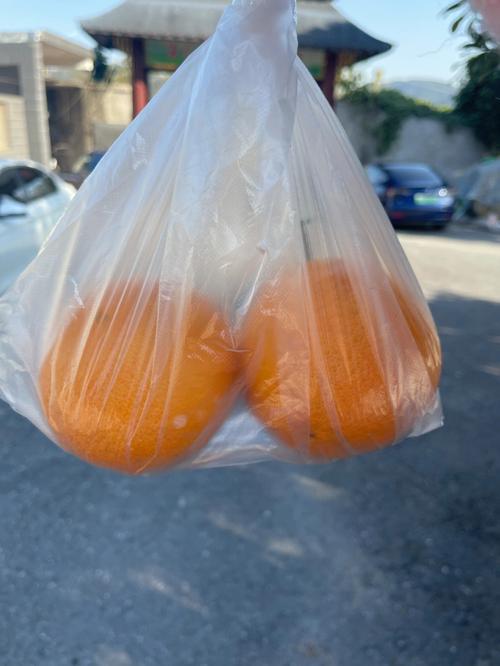 梦见橘子树是什么意思